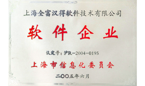 中国管理软件实施商二十强